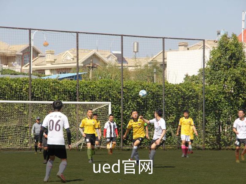 关于ued官网